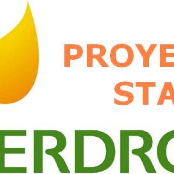 Proyecto STAR Iberdrola