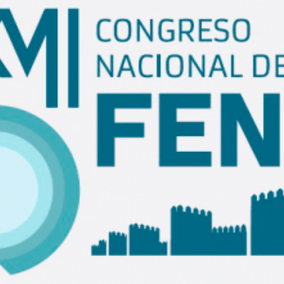 XVII Congreso Nacional de Fenie