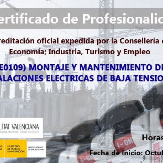 Certificado de Profesionalidad en B.T.