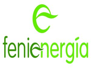 Fenie Energía