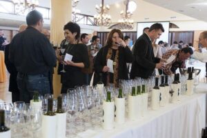 Cata de vinos