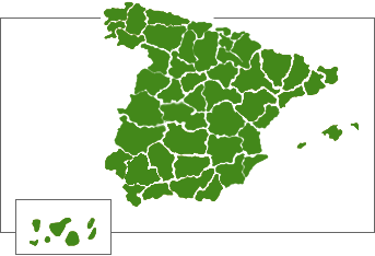 Iberdrola Distribución Eléctrica