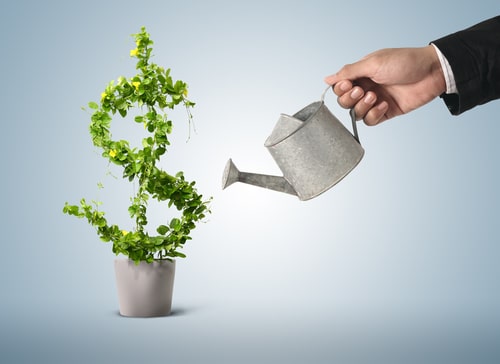 Solvencia económica