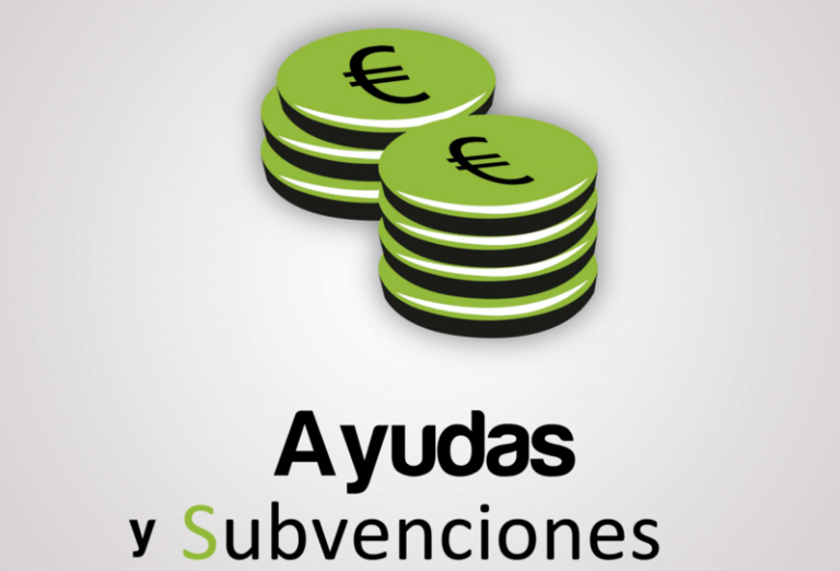 Ayudas y Subvenciones