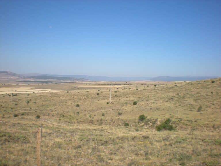 Feníe Energía espera iniciar en 2020 las obras de sus parques eólicos en Soria