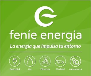 Fenie Energía
