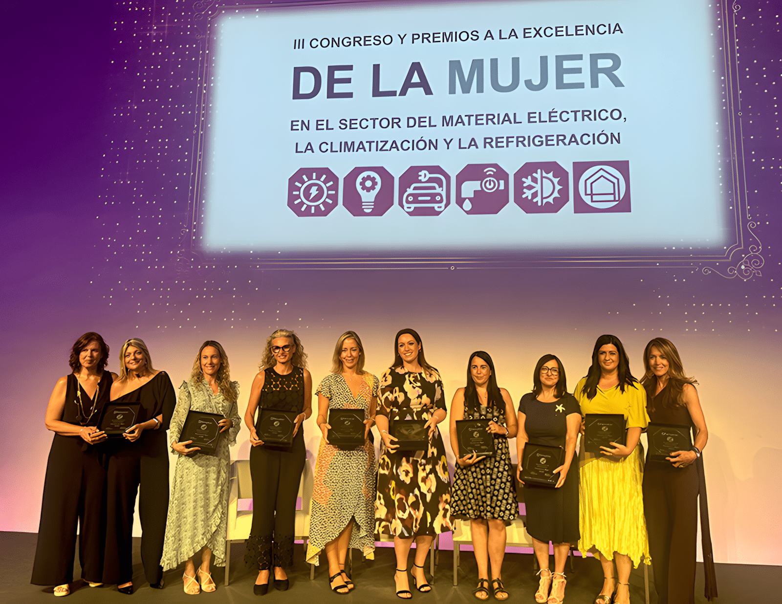 Marian García, Premio a la Excelencia de la Mujer en el Sector Eléctrico